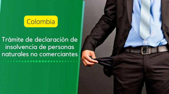 Régimen de Insolvencia Económica para la Persona Natural No Comerciante: Guía Explicativa