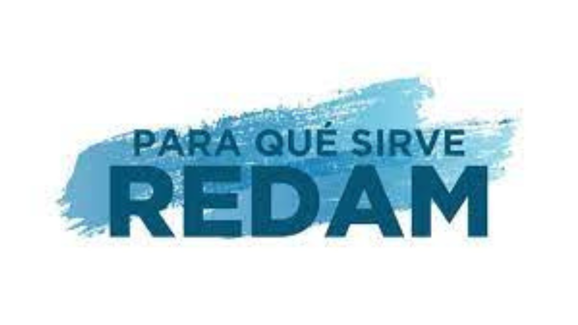 ¿Cómo funciona el REDAM?